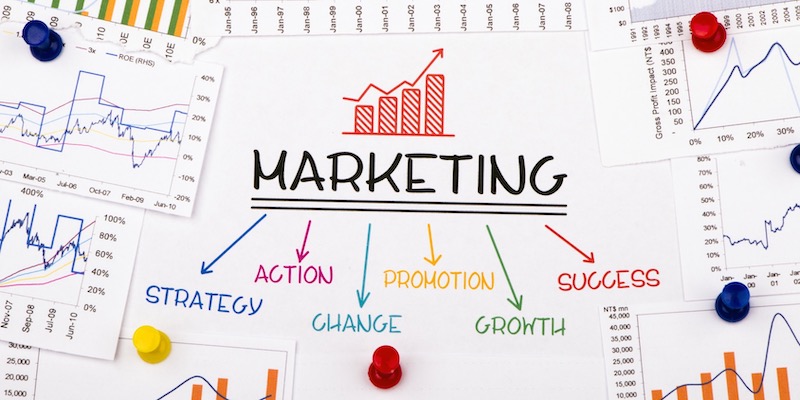 Start Career in Digital Marketing