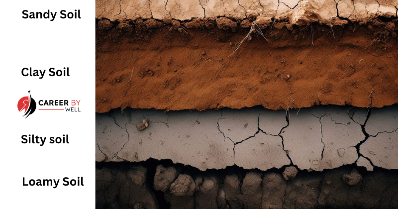 Types Of Soil