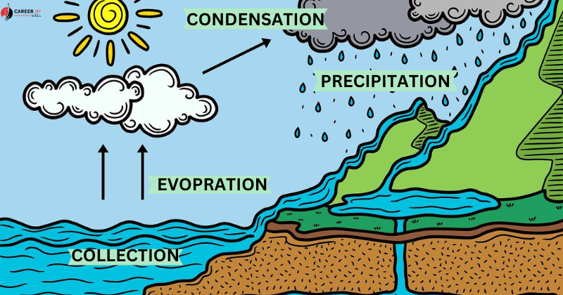 water cycle