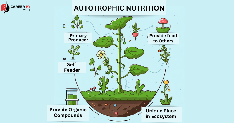 AUTOTROPHIC - Types of nutrition