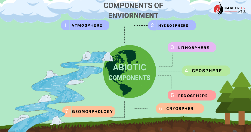 Abiotic COMPONENTS OF ENVIORNMENT