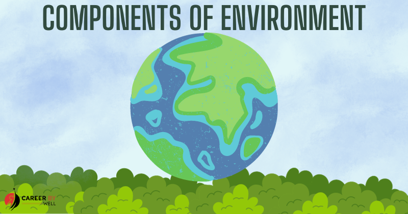 Components Of Environment