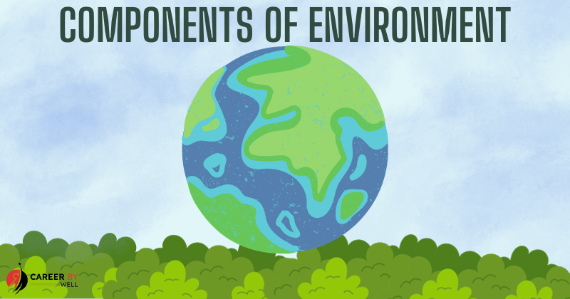 COMPONENTS OF ENVIRONMENT