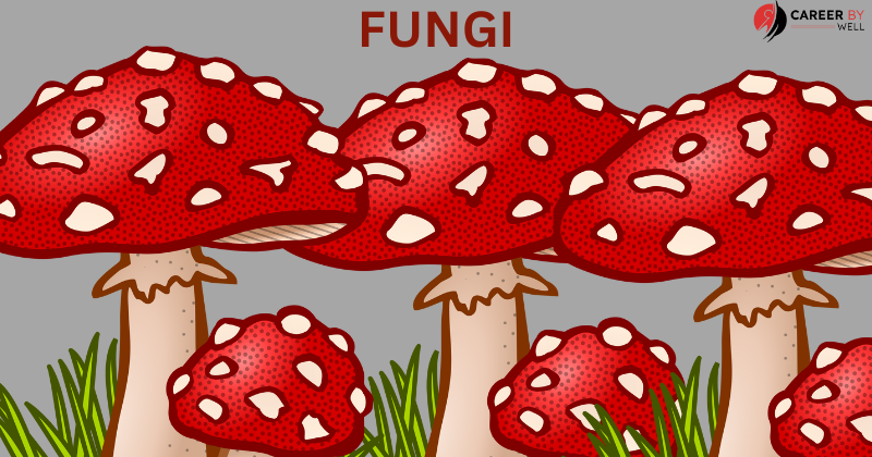 kingdom classifications of living organisms fungi
