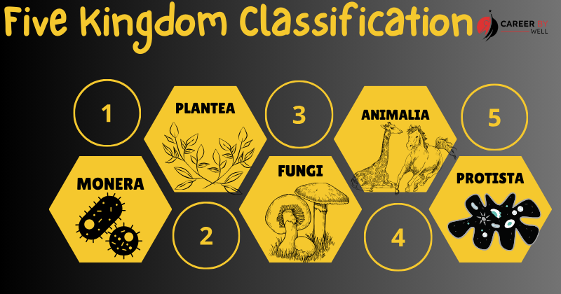 Five Kingdom Classifications Of Living Organisms